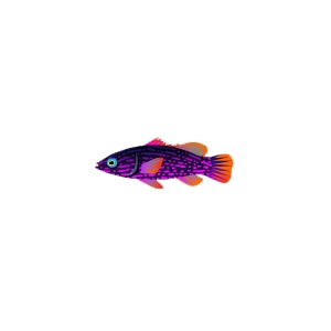 Neon Speck Bass